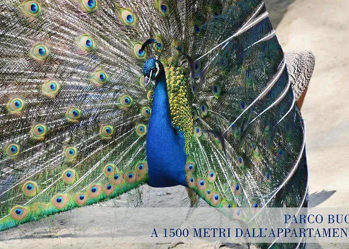 Garibaldi Superior Lägenhet *