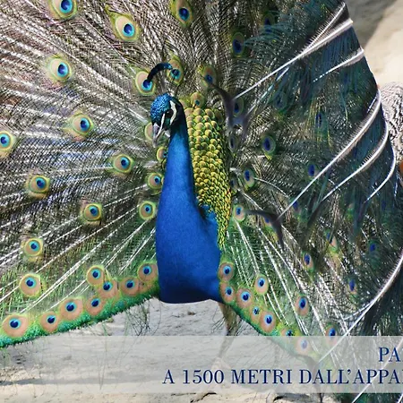 Garibaldi Superior - Enjoy Your Life Appartamento *